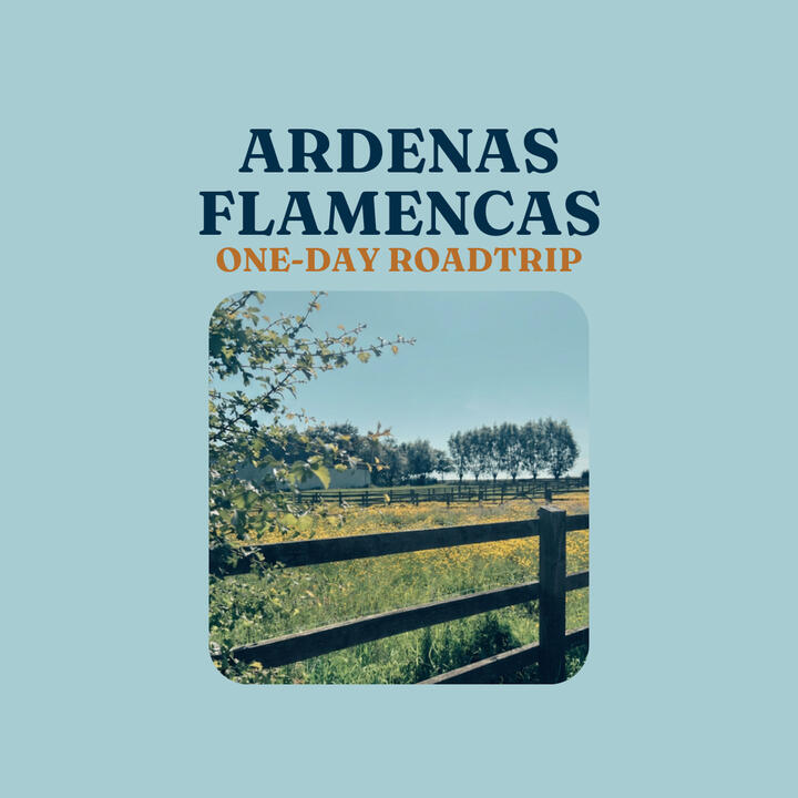 Ardenas Flamencas